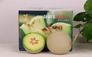 北京太地科技 一个日本静冈蜜瓜要600元！你被这些“洋水果”背刺过吗？