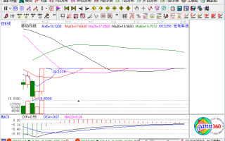 宏合科技股吧 宏和科技（603256）13连板后疯狂砸盘至跌停，换手率堪比科创板