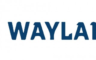 威蓝汽车科技 全柴动力等成立威蓝动力科技公司 注册资本5亿元