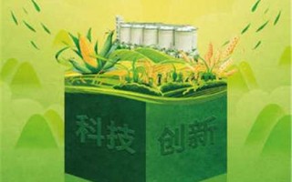 全国最新科技创新成果 10项粮食流通科技创新成果发布