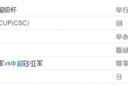 中国超级杯：中国超级杯怎么打