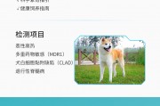 北京希诺谷生物科技 十几万元买不回爱宠“重生”：小众且昂贵的宠物克隆是科技奇迹还是情感骗局？