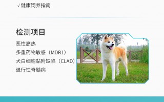 北京希诺谷生物科技 十几万元买不回爱宠“重生”：小众且昂贵的宠物克隆是科技奇迹还是情感骗局？