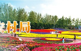 佳禾农业科技有限公司 专家变身“莓老板”，“苗”绘农户致富路